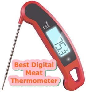 best digital meat thermometer