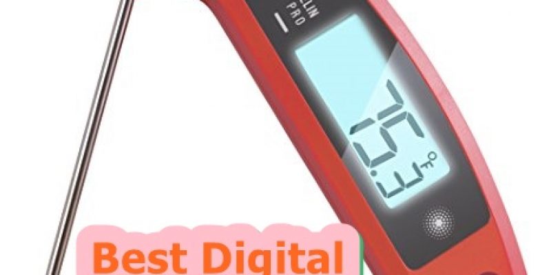 Top 15 Best Digital Meat Thermometers For Smoker/Grilling