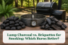 Lump Charcoal vs. Briquettes for Smoking: Which Burns Better?